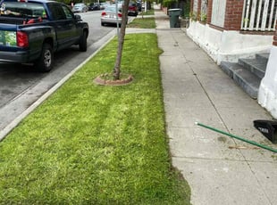 Rosalyn W.'s Lawn Mowing service result