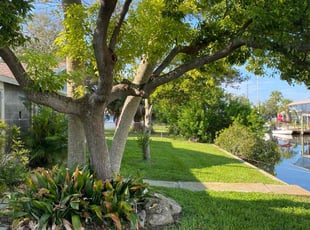 Stephanie R.'s Lawn Mowing service result