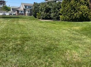 Bob b.'s Lawn Maintenance service result