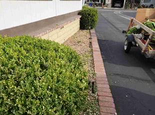 Bush Trimming by Aaron Belcher for Riley N. in Rancho Cucamonga, CA