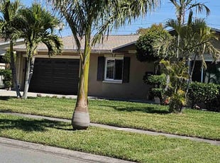 Teresa D.'s Yard Cutting service result