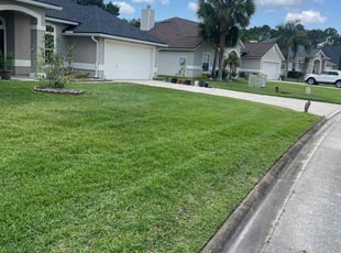Ro T.'s Lawn Care service result
