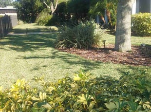 Nate S.'s Lawn Mowing service result