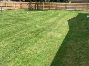 Charles T.'s Lawn Service service result
