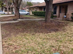 Leaf Removal by Joshua Rich for Michael O. in San Antonio, TX