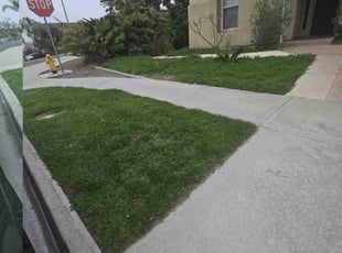 John B.'s Lawn Maintenance service result