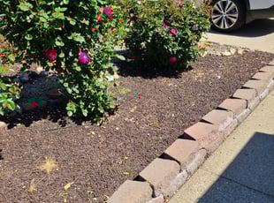 Weeding by Juan Rodriguez for Vince T. in Folsom, CA