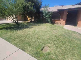 Igor R.'s Lawn Mowing Service service result