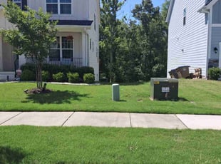 Frances L.'s Lawn Service service result