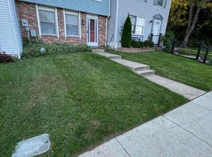 Sonya M.'s Lawn Mowing Service service result