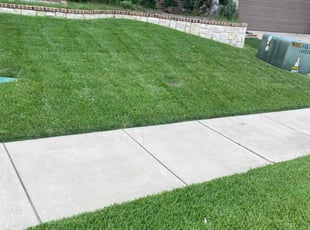 Yolanda F.'s Lawn Maintenance service result