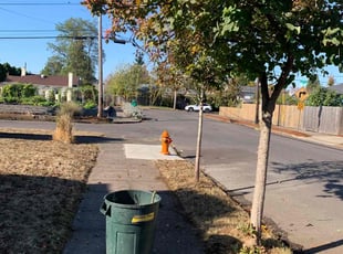 Bush Trimming by Antonio Ortega for Amy F. in Portland, OR