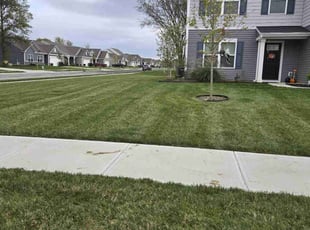 Donna V.'s Lawn Service service result