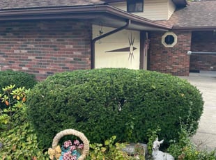 Bush Trimming by Scott Basinger for David C. in Parma Heights, OH