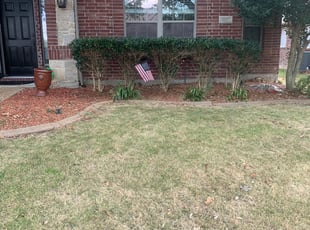 Bush Trimming by R Brown for Matt R. in Frisco, TX