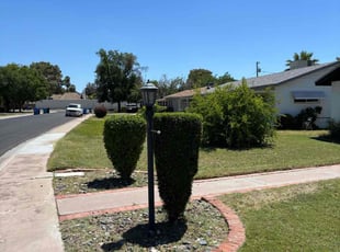 Bush Trimming by Bobby Parris for Jessica M. in Phoenix, AZ