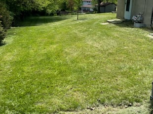 Cleanups by Ted Ostavitz for Holly P. in Cincinnati, OH