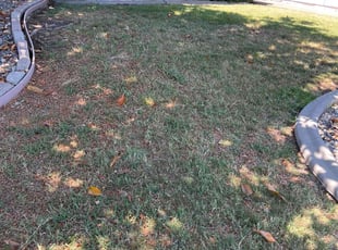 Bush Trimming by Juan Martinez for Denise M. in Stockton, CA
