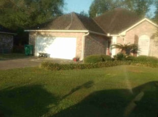 Bush Trimming by Gregory Lewis for Cecil B. in Denham Springs, LA
