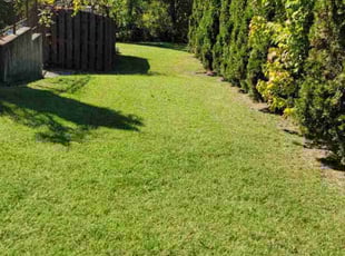 Ulrike P.'s Lawn Care service result