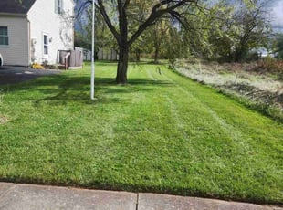 Jeison R.'s Lawn Service service result