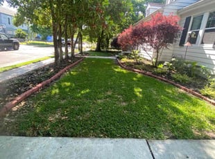 Anna L.'s Yard Cutting service result