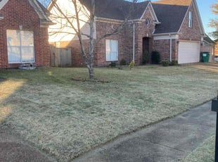 Tedrick W.'s Lawn Mowing service result