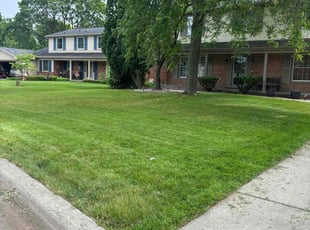 Anaykia E.'s Lawn Care service result
