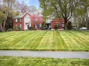 Amanda V.'s Grass Cutting service result