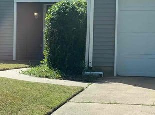 Bush Trimming by Joshua Hixson for Alishia Y. in Tulsa, OK