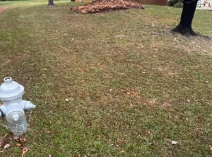 Leaf Removal by Courtney Moore for D’Jara G. in Atlanta, GA