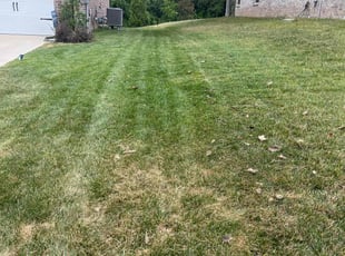 Sarah G.'s Grass Cutting service result