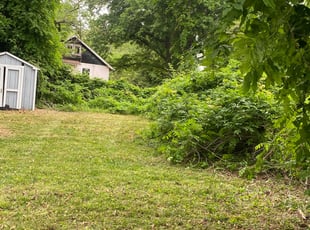 Bush Trimming by Matthew Rutledge for Karen F. in Richmond, VA