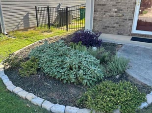 Emily W.'s Flower Bed Weeding service result
