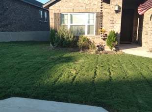 Weeding by Mark Carrizales for Nicole T. in San Antonio, TX