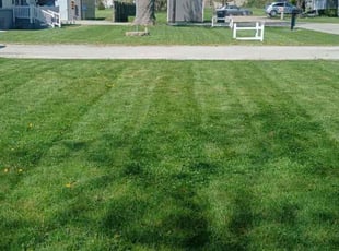Richard R.'s Lawn Mowing service result