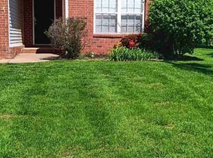 Christina O.'s Lawn Mowing service result