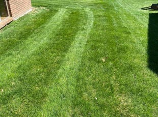 Emily L.'s Lawn Service service result