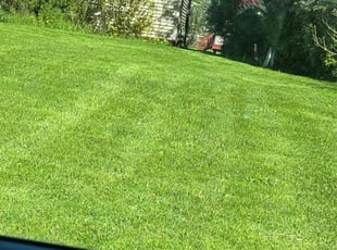 Lynn T.'s Lawn Mowing service result