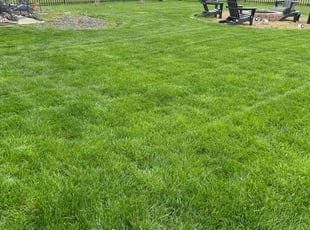 Earl C.'s Lawn Mowing service result
