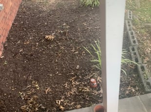 Weeding by Keith Moultrie for Russell W. in Laurel, MD