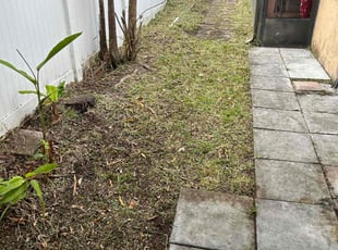 Cleanups by Jace Major for Jason C. in Pembroke Pines, FL