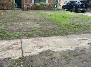Leaf Removal by Elston Diaz for Laura N. in Dallas, TX