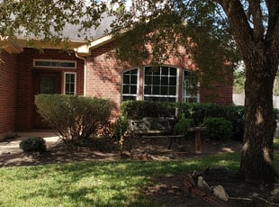 Bush Trimming by Jose Barrera for Jeff W. in Richmond, TX