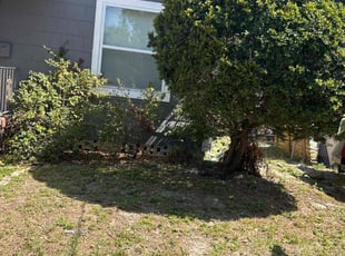 Bush Trimming by Ismail Abdullah for Damian S. in Tampa, FL