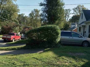 Bush Trimming by Angel P. for Autumn A. in Falls Church, VA