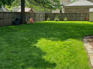 Anne C.'s Lawn Mowing service result