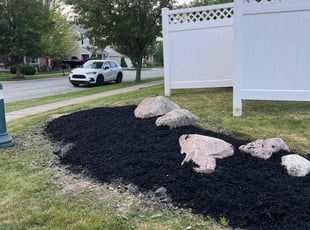 Mulching by Tywuan Williams for Terri M. in Fishers, IN