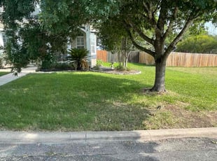 Debbie c.'s Lawn Mowing Service service result