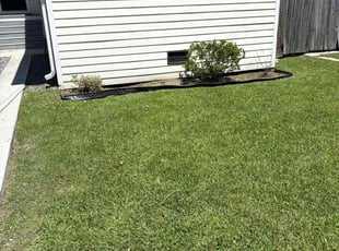 Weeding by Akeem Lewis for Devina P. in New Orleans, LA